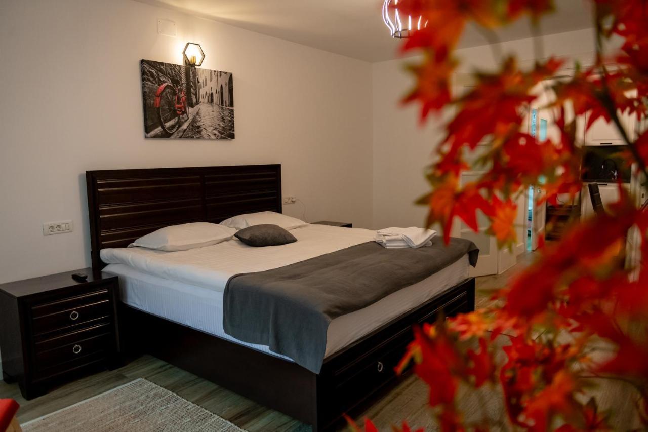 Old Town Suites ブラショフ エクステリア 写真